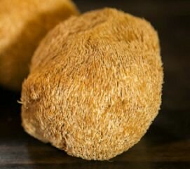 图片,海量精选高清图片库 巢湖临湖食用菌专业合作社