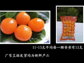 湖北荆楚明珠咸蛋黄11 13克 咸蛋黄厂家直销