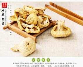 贡极 甘孜石渠野生白菌礼盒 50g 青藏高原特产干货白蘑菇食用菌煲汤料
